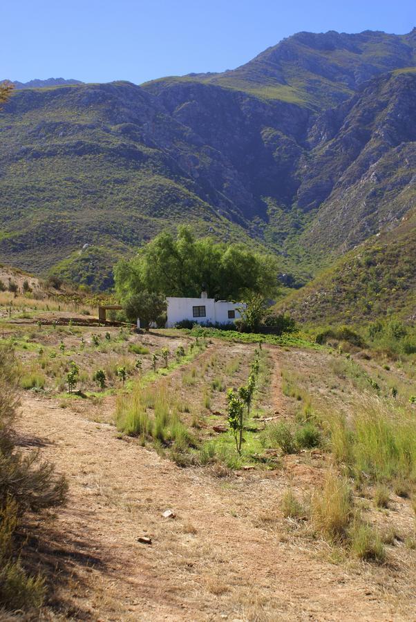 Tierhoek Cottages Robertson Exterior foto